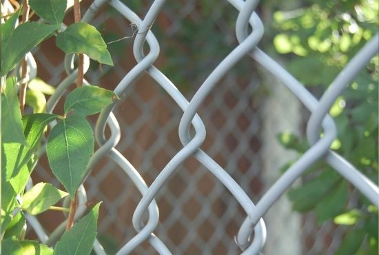 Chain Link Fence