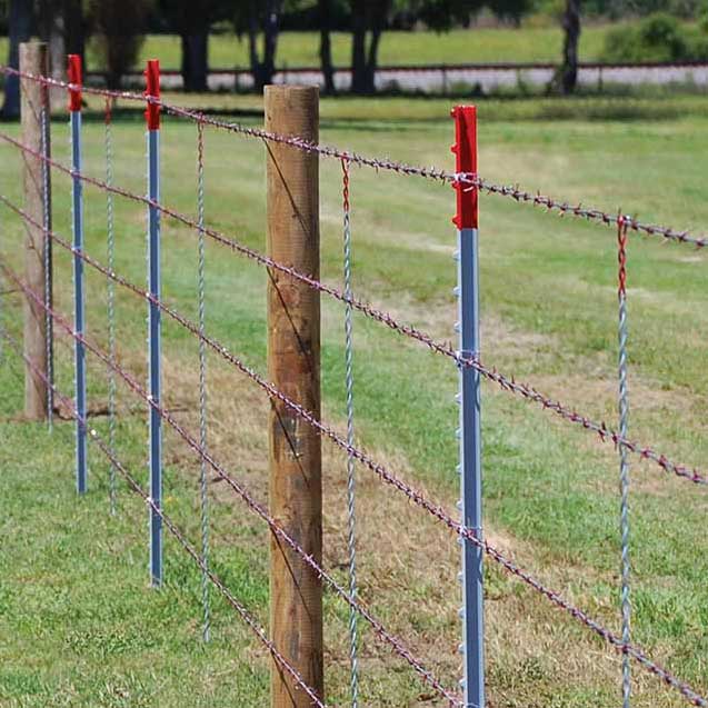 Barbed Wire and T-post fence