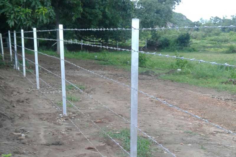 Recinzione in filo spinato per azienda agricola