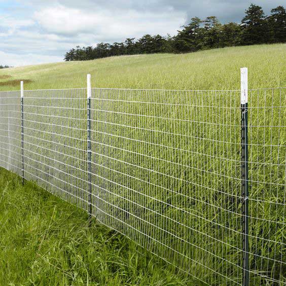 T-Post wire mesh fence