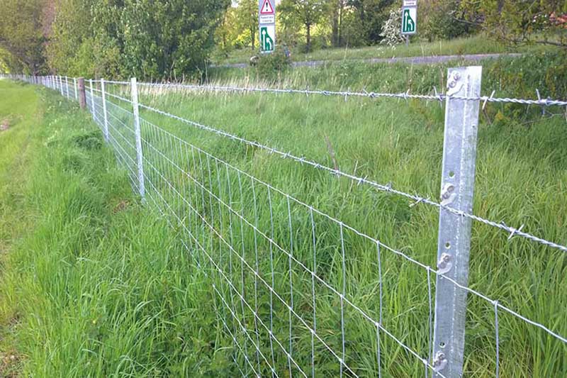 Recinzione di confine dell'azienda agricola con filo spinato