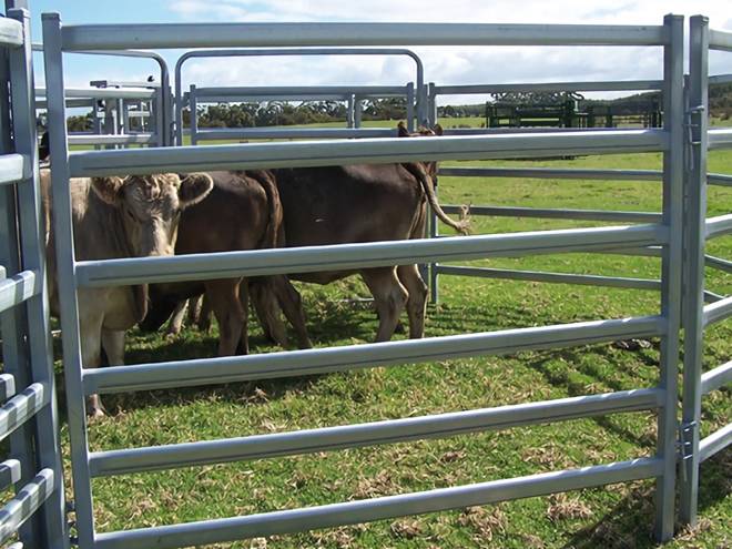 cattle corral panels