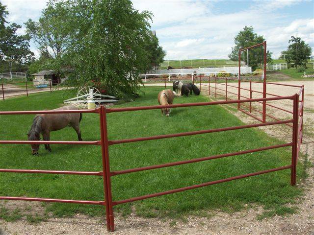Round rails cattle panels