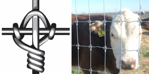 Field fence